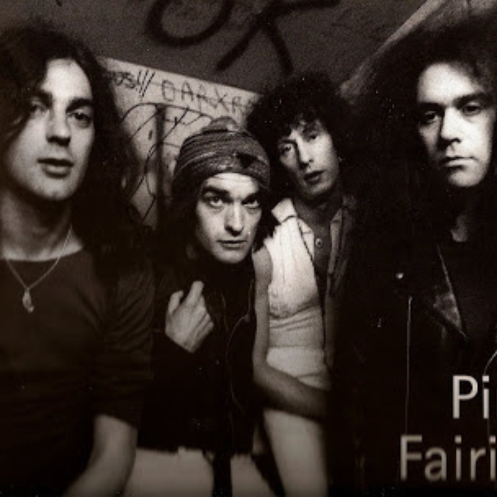 Pink Fairies